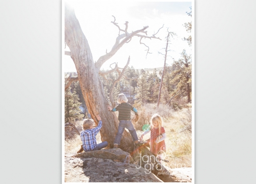 troutmantree