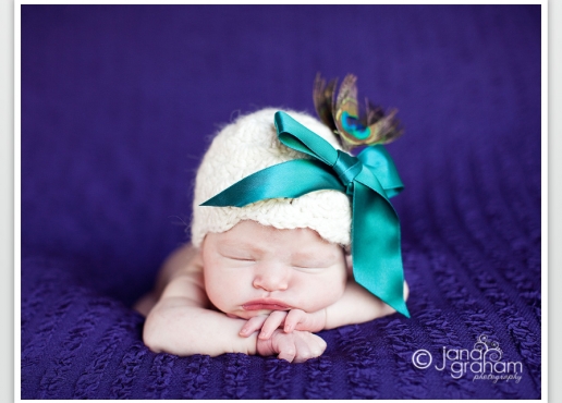 gallery_images12