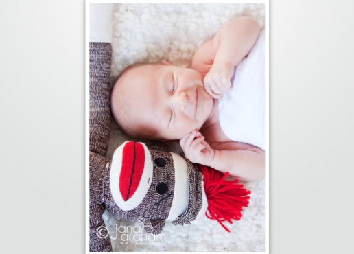 gallery_images16