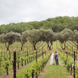 Sneak peek of a California wine country wedding