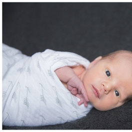 Baby makes 5! – Newborn Photographer – Billings, MT – Montana Photographer